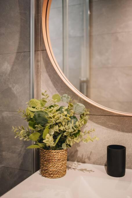 La Vie En Rose - Luxe, Calme & Hypercentre - 3* Leilighet Annecy Eksteriør bilde