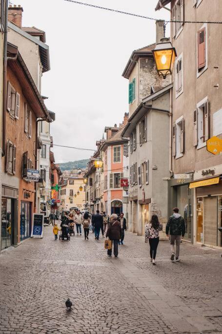 La Vie En Rose - Luxe, Calme & Hypercentre - 3* Leilighet Annecy Eksteriør bilde